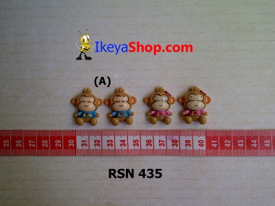 rsn 435  large2